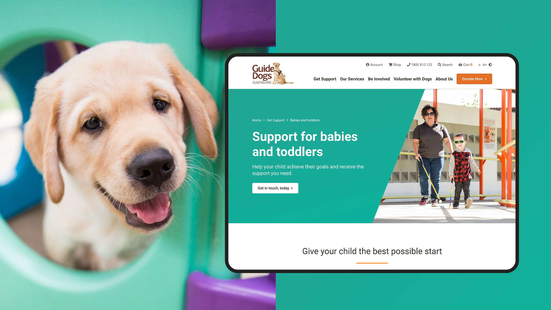 Guide Dogs_featured