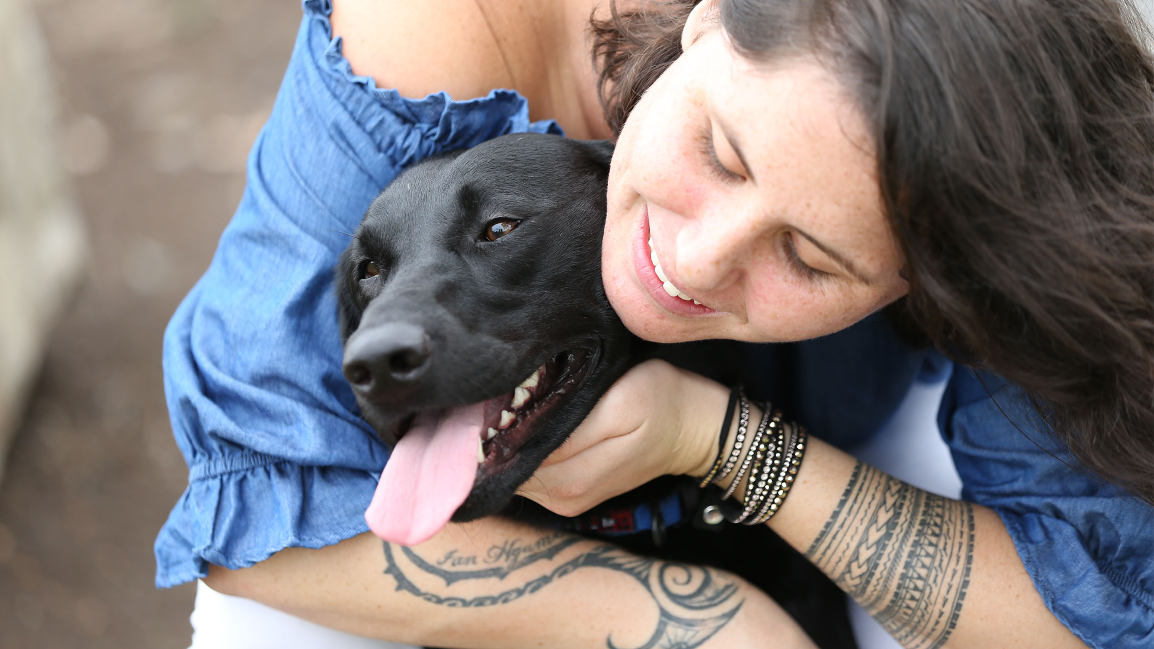 Guide Dogs Queensland Customer Experience Agency Brisbane Follow